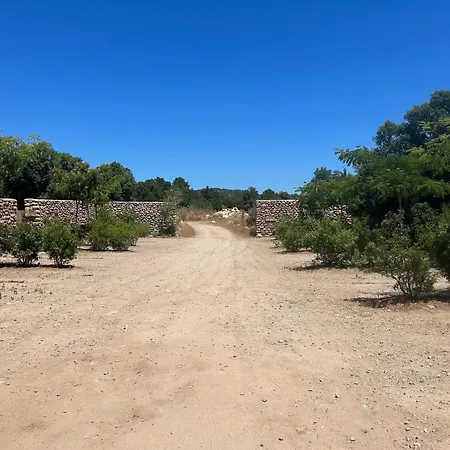 Du Domaine Casanghjulina Porto-Vecchio (Corsica)