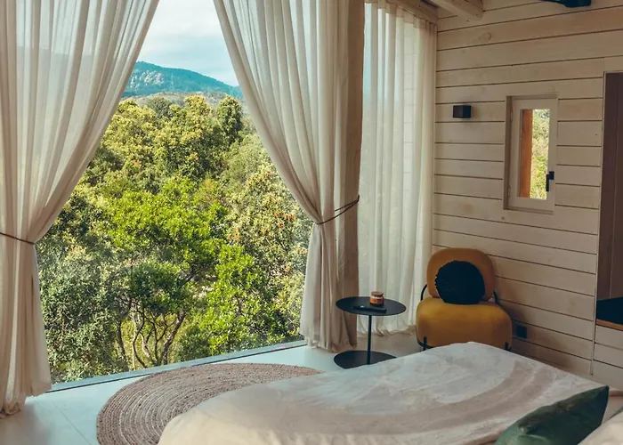 Du Domaine Casanghjulina